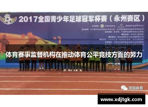 体育赛事监督机构在推动体育公平竞技方面的努力