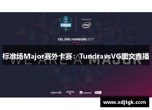 标准场Major赛外卡赛：TundravsVG图文直播